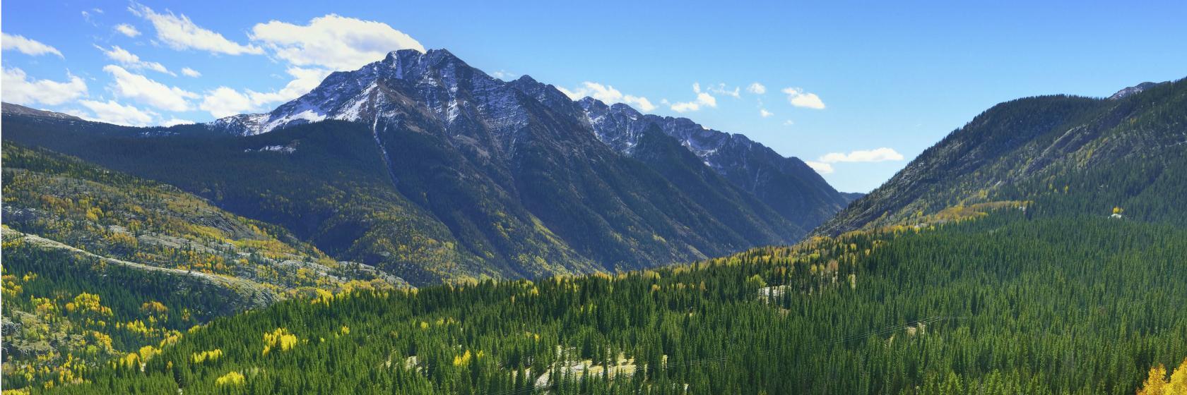 The 10 Best Hotels Places To Stay In Evergreen Co Evergreen
