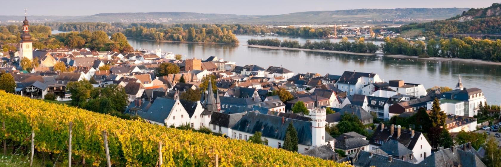 10 Best Rudesheim Am Rhein Hotels Germany From 59