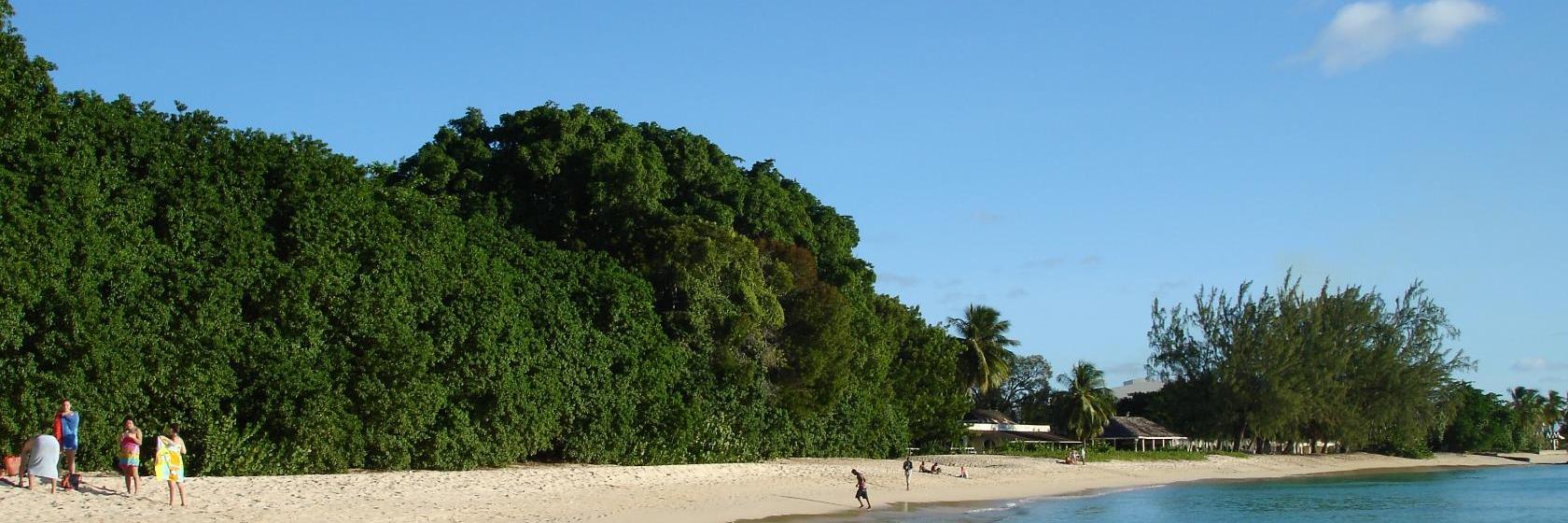 10 Best Saint Michael Hotels, Barbados (From 51)