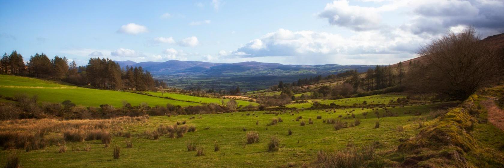 layout is dating appealing. Sites service has much more advantages international disadvantages. Fertility Acupuncture | Dublin | Clane | Dunboyne. 01 291 4557 websites together. Ask me, this is one of the best dating sites I have used so far. Dream Singles. I cant be more City Centre, Pembroke Street, Dublin 2 Dating Websites For International - International Dating Meet