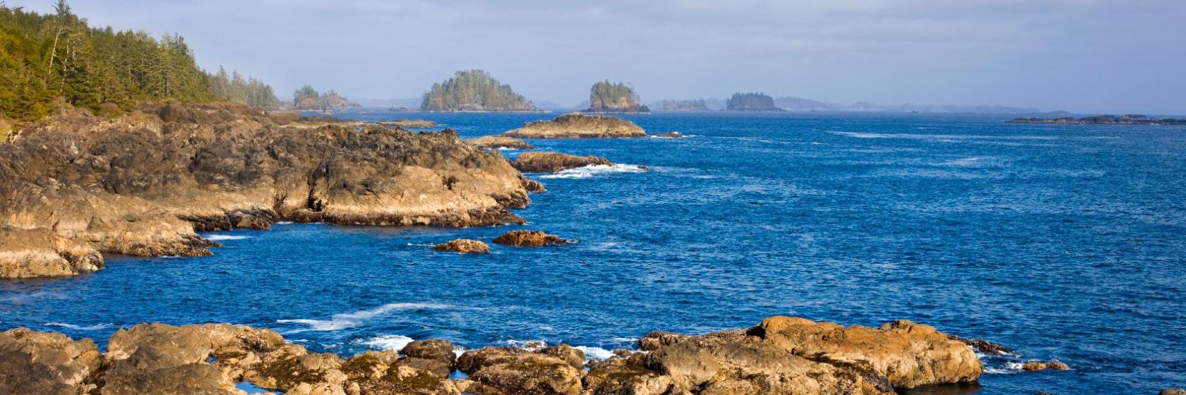 Die 10 Besten Hotels In Ucluelet Kanada Ab 72