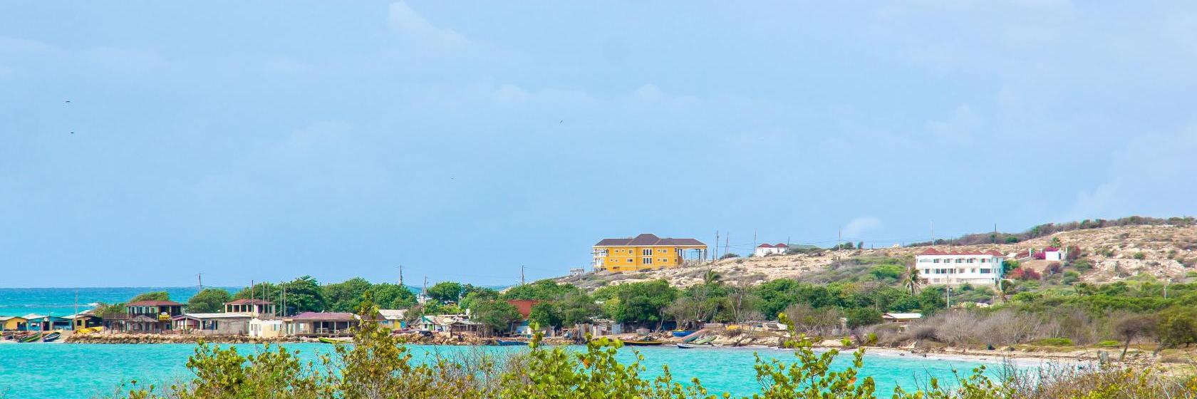 vapormax neon green and black