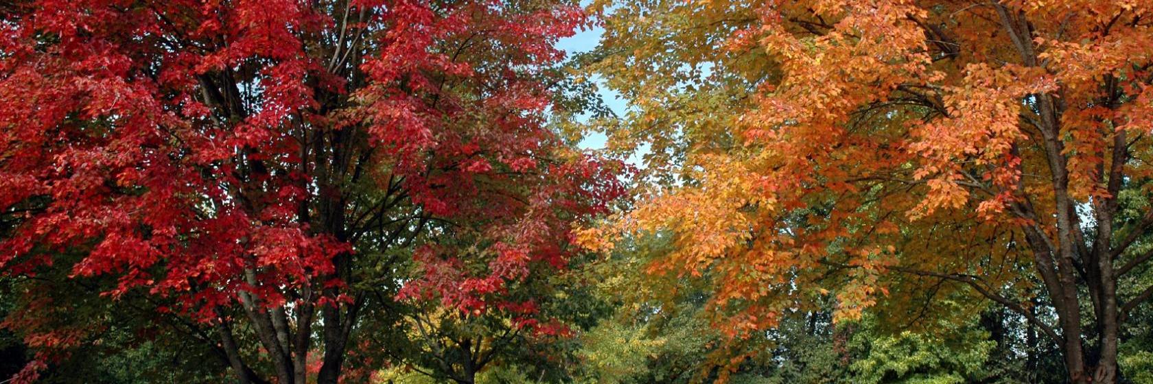 The Best Available Hotels Places To Stay Near Cottage Grove Or