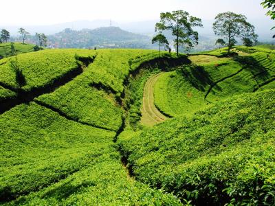 Hotel di Bandung, Indonesia