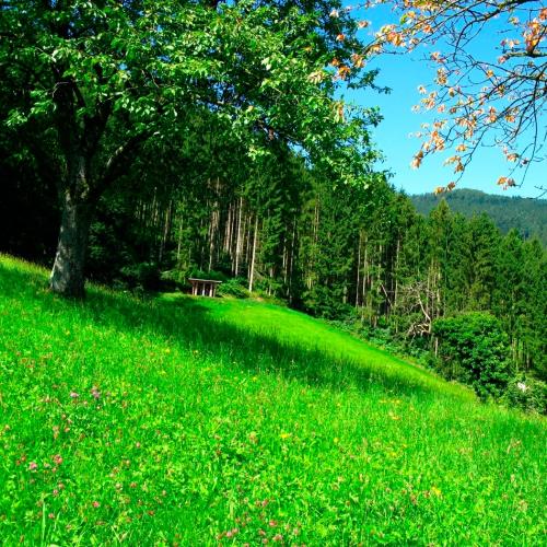 The 10 Best Budget Hotels In Saarland Germany Booking Com