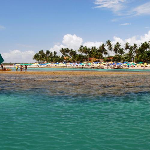 
Porto de Galinhas, Brasil
