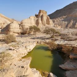 Neve Zohar 21 hotels