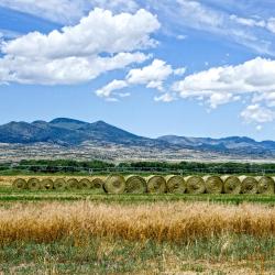 The 10 Best Great Sand Dunes National Park Hotels Where To Stay