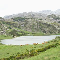 Los 30 Mejores Hoteles de Asturias - Dónde alojarse en ...