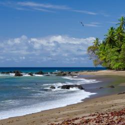 10 Best Playa Hermosa Hotels Costa Rica From 84