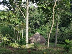 Bwindi Forest Farm and campsite