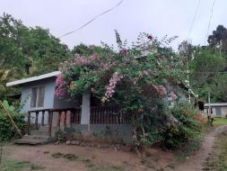 Happy valley eco forest homestay