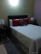 Sago palm vacation villa