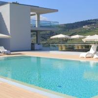 Delfim Douro Hotel