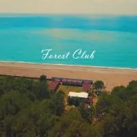Mini-hotel FOREST CLUB, Pizunda - Promo Code Details