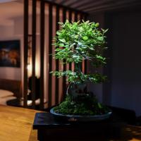 Bonsai Family Residence
