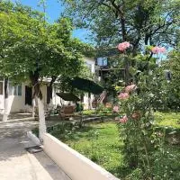 Batumi Summer Hotel - Promo Code Details