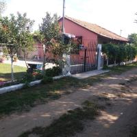Traditional House