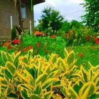 Ameli Garden, Telavi - Promo Code Details