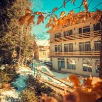 Boutique Hotel Shale, Bakuriani - Promo Code Details