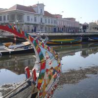 Aveiro Ria View in Theatre