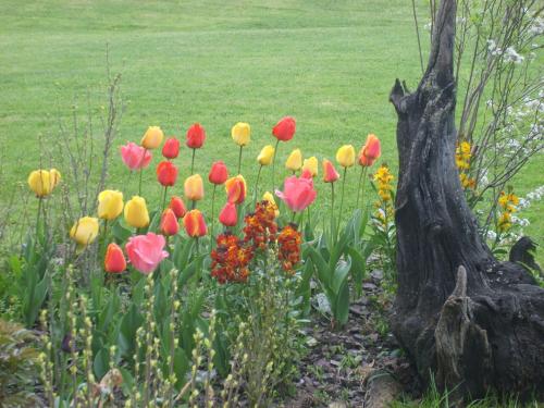 Jardin de Bentazar