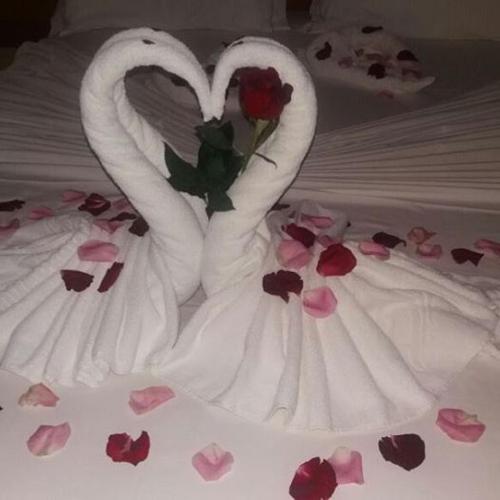 Decoração Personalizada - Lua de Mel