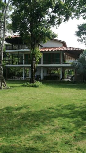 CABAÑA PURA VIDA