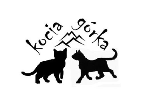 Kocia gorka