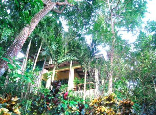 Nosara B&B Retreat