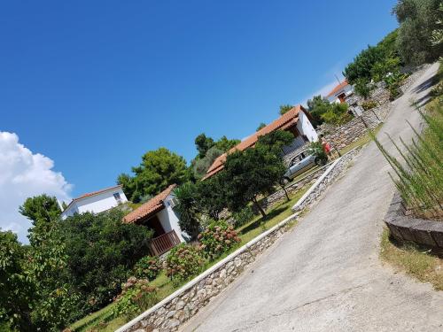 Panos