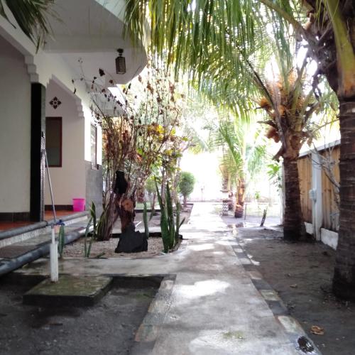 Gili spoy-spoy homestay
