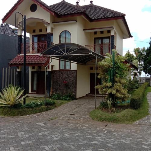sunotonando( Anggrek bulan )