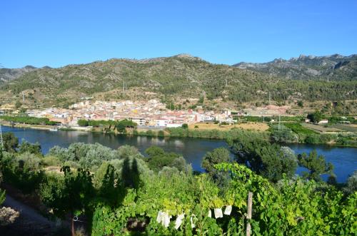Oriol