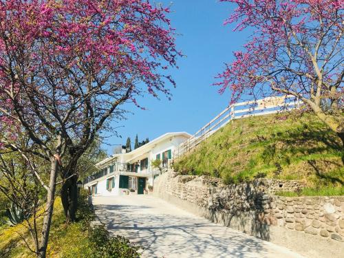 Villa Poggio Ulivo Apartments